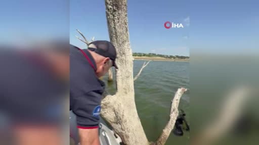 Sazlıbosna Barajı’nda misina ve ağlara takılan karabatağı itfaiye kurtardı