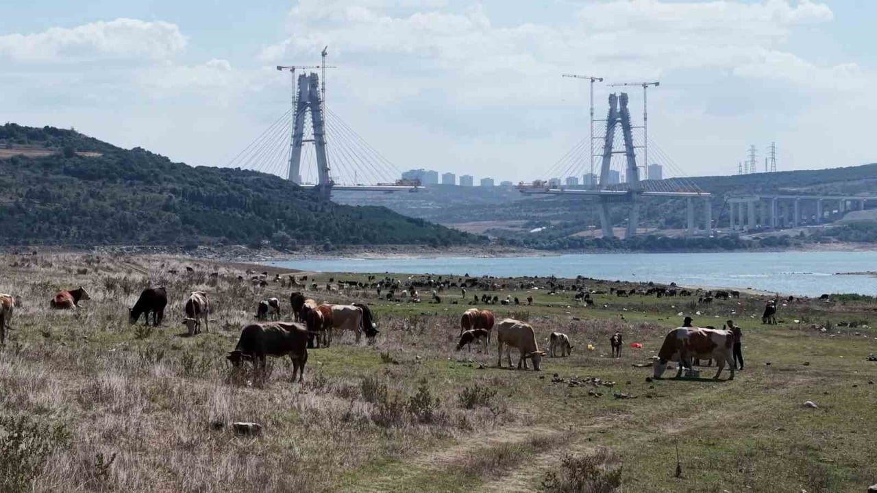 SAZLIBOSNA’DA AYNI KADRAJA GİREN KURUYAN BARAJ ZEMİNİ, OTLAYAN HAYVANLAR, ORTAYA ÇIKAN ESKİ...