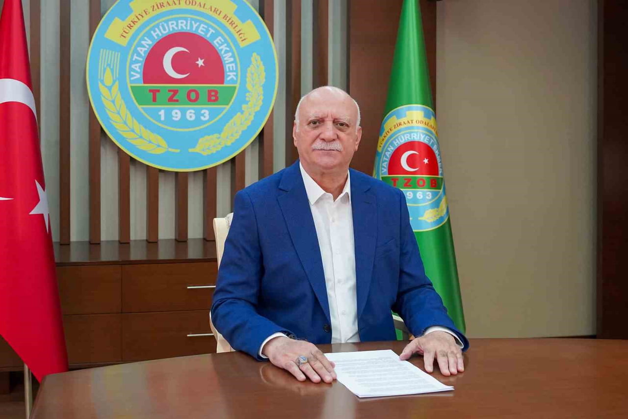 ŞEMSİ BAYRAKTAR