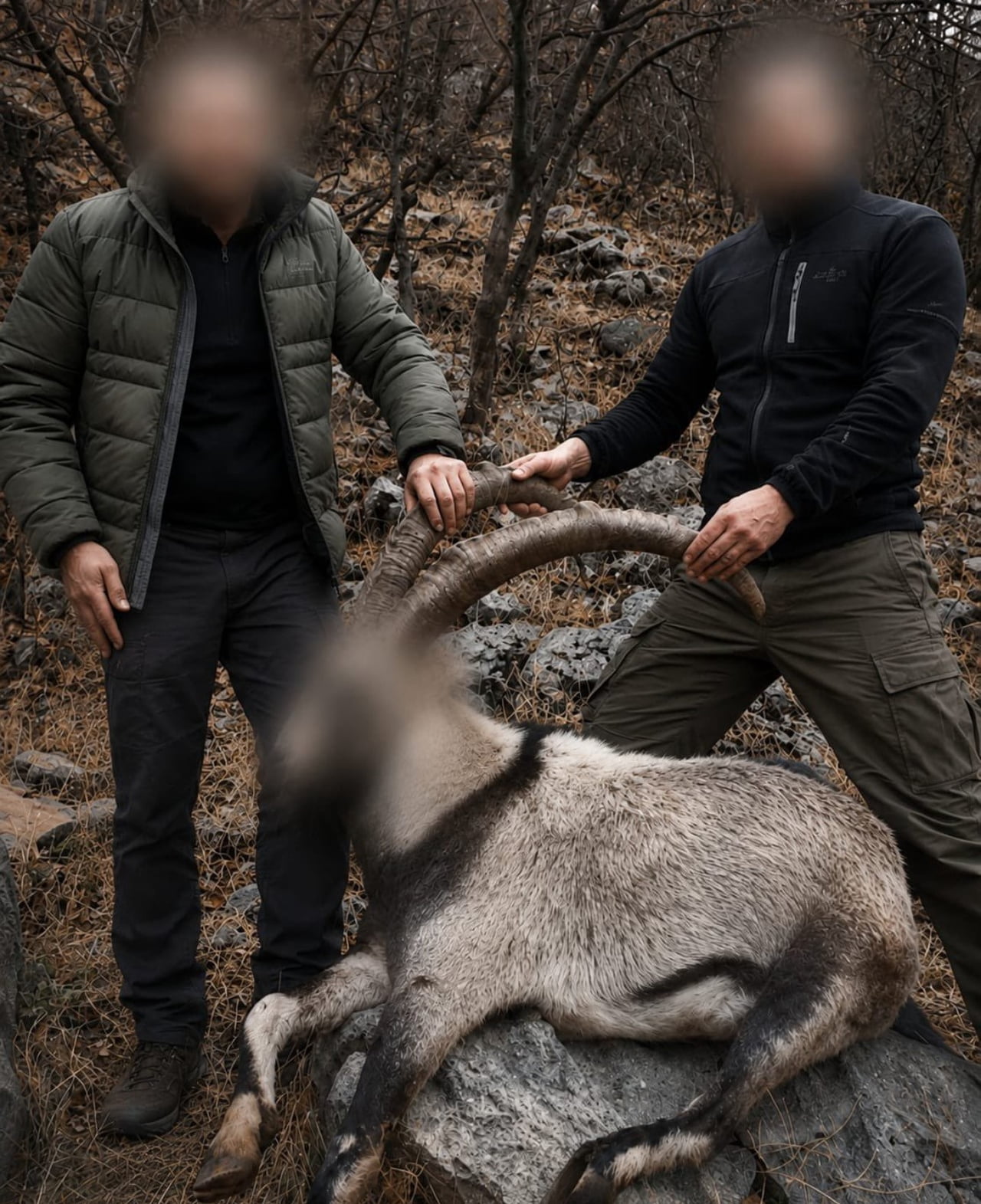 SİİRT’TE 6 YIL ÖNCE KORUMA ALTINDAKİ 5 YABAN KEÇİSİNİ AVLAYANLARA CEZA
