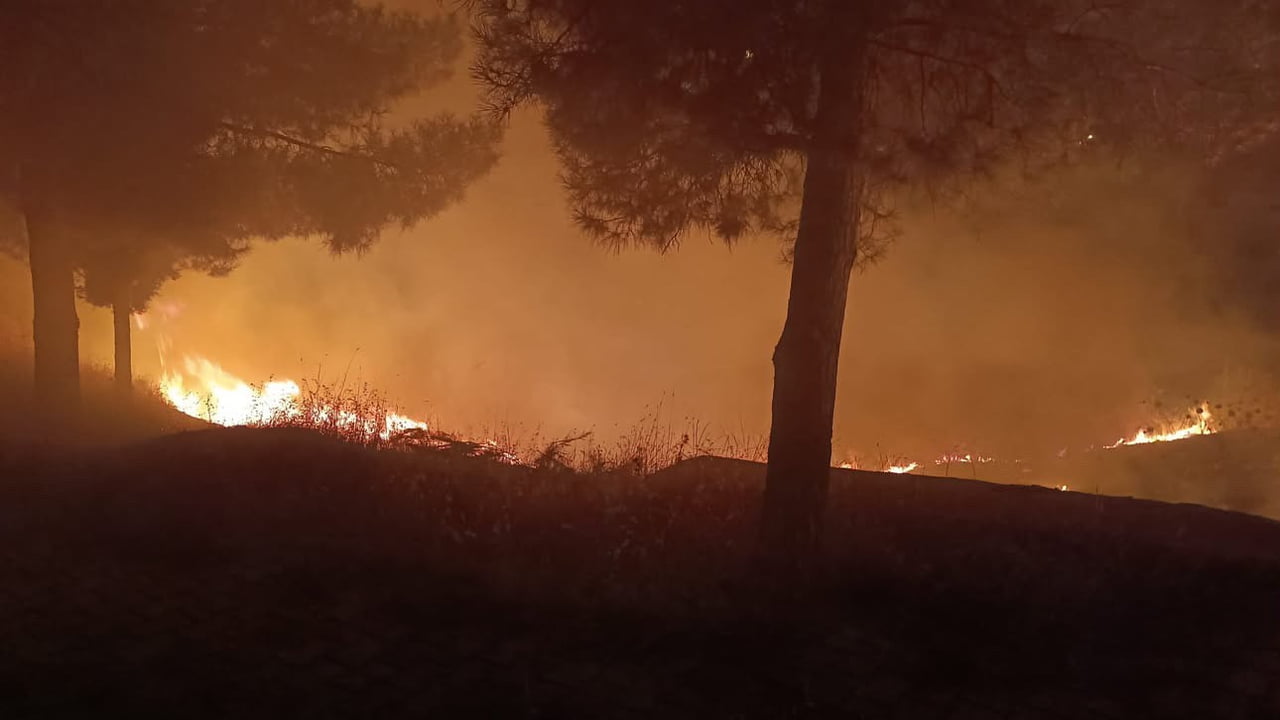 SİİRT’TE MEZARLIKTA ÇIKAN YANGIN İTFAİYE EKİPLERİNCE SÖNDÜRÜLDÜ