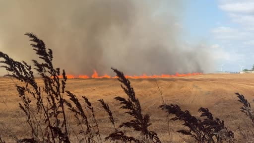 Silivri'de tarla yangınına havadan müdahale ediliyor