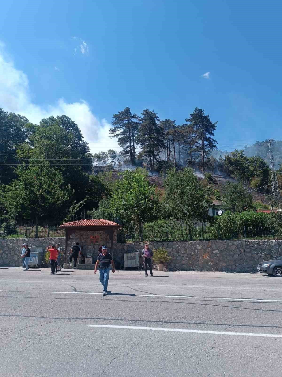 SİNOP’UN GERZE-BOYABAT KARA YOLU DERECUMA CAMİİ MEVKİSİNDE ÇIKAN ORMAN YANGINIYLA İLGİLİ 1 KİŞİ...