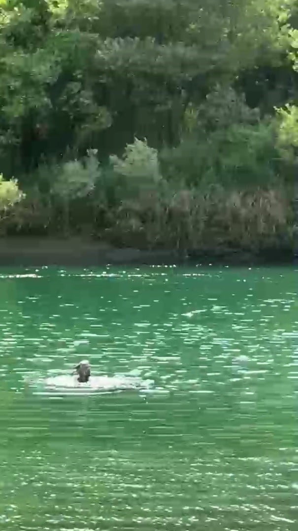 ŞIRNAK’IN GÜÇLÜKONAK YOLU ÜZERİ ELO DİNO KASRI YAKINLARINDA PİKNİĞE GİDEN AİLEDEN 4 KADIN...