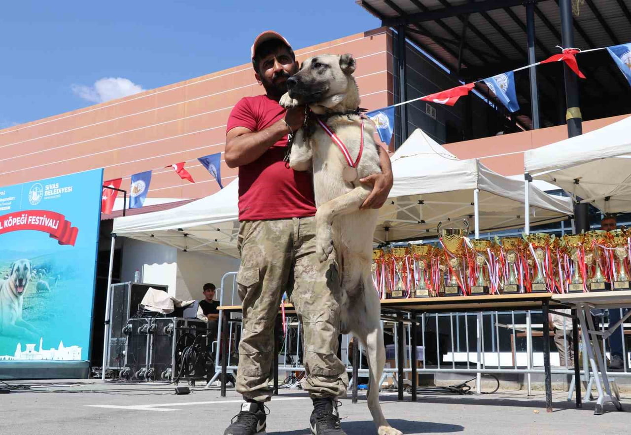SİVAS BELEDİYESİ TARAFINDAN DÜZENLENEN “KANGAL ÇOBAN KÖPEKLERİ VE ANADOLU ÇOBAN KÖPEKLERİ IRK...