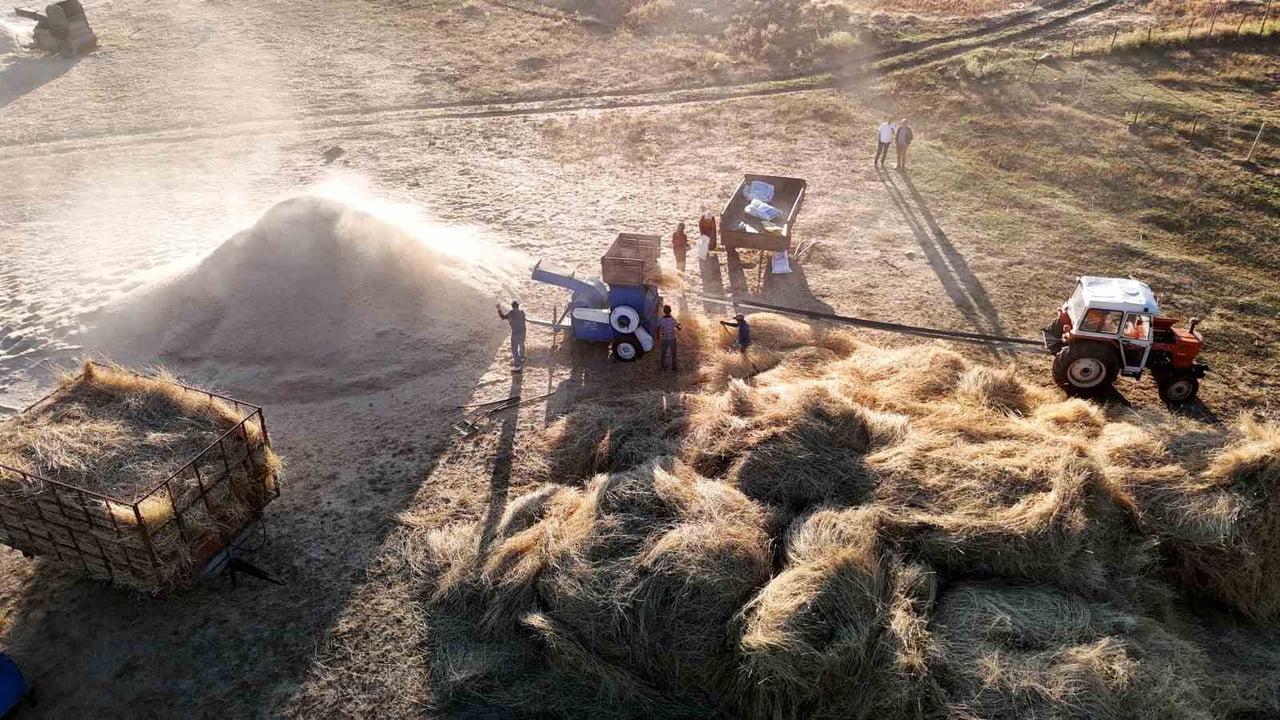 SİVAS’TA HUBUBAT HASADININ BAŞLAMASIYLA BİRLİKTE KIRSALDA HAREKETLİLİK ARTTI. BİRÇOK NOKTADA HASAT...