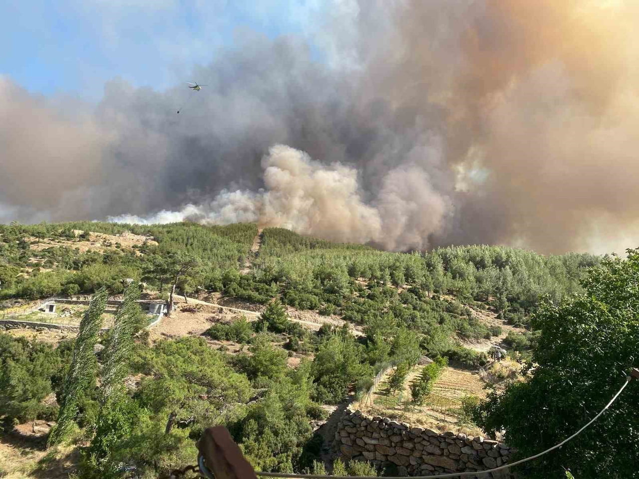 TARIM VE ORMAN BAKANI İBRAHİM YUMAKLI, HAVADAN VE KARADAN YÜRÜTÜLEN ETKİLİ MÜCADELELER SONUCUNDA...