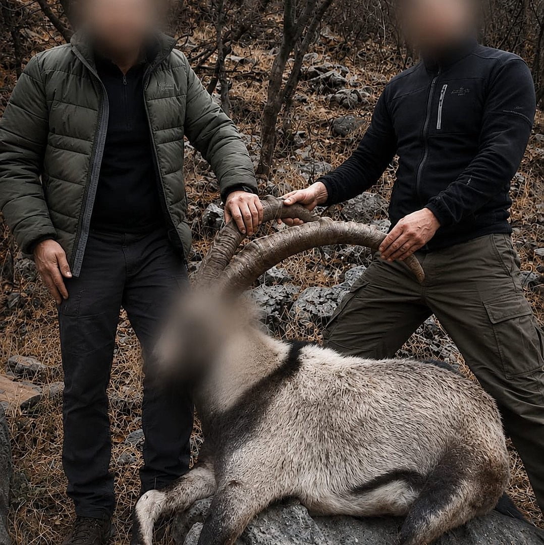 TARIM VE ORMAN BAKANLIĞI, 6 YIL ÖNCE SİİRT ŞİRVAN’DA KORUMA ALTINDAKİ 5 YABAN KEÇİSİNİ YASA DIŞI...