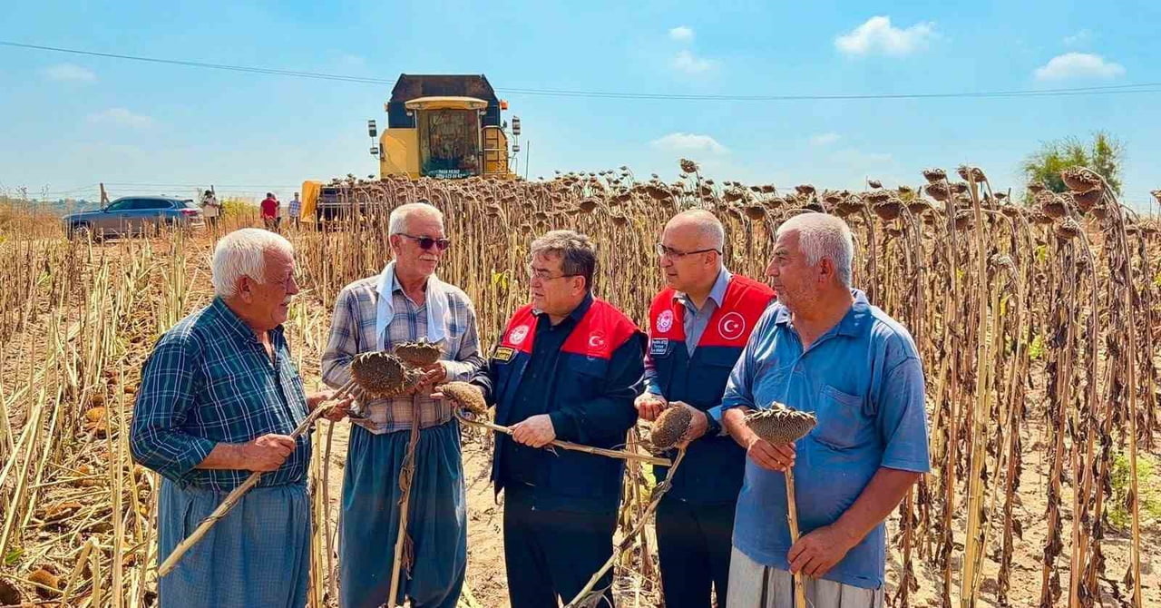TARSUS’TA AYÇİÇEĞİ BAHÇESİNDE İNCELEME YAPILDI