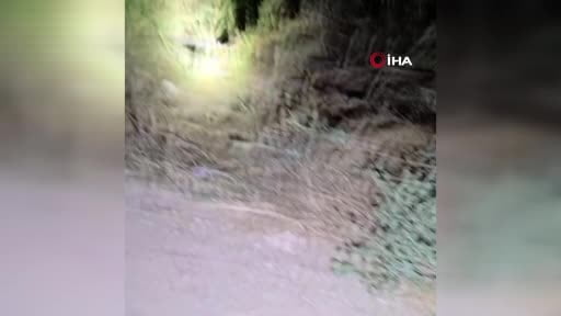 Tatil için Belçika'dan Antalya'ya gelen genç gurbetçi genç trafik kazasında hayatını...