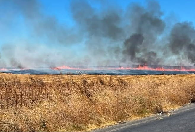 TEKİRDAĞ'IN HAYRABOLU İLÇESİNDE ÇIKAN ANIZ YANGININDA YAKLAŞIK 25 DÖNÜM TARIM ARAZİSİ ZARAR...
