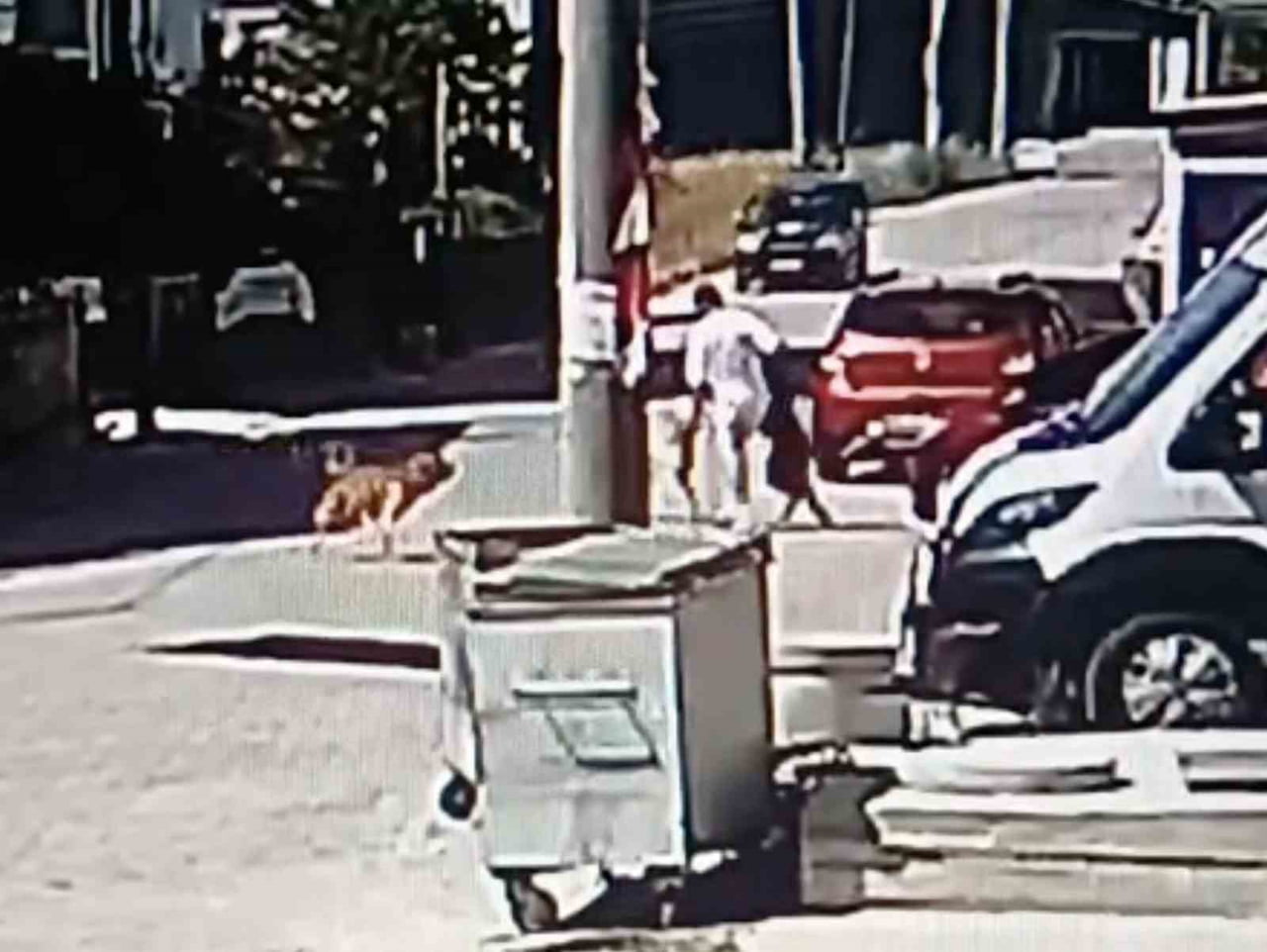 TEKİRDAĞ’IN KAPAKLI İLÇESİNDE KÖPEĞİNİ GEZDİRMEK İSTEYEN GENÇ, SOKAKTA BULUNAN BAŞKA BİR KÖPEĞİN...