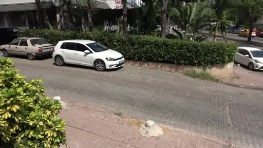 Telef olan kediyi besleyen vatandaşlardan Pitbull’un sahibine tepki