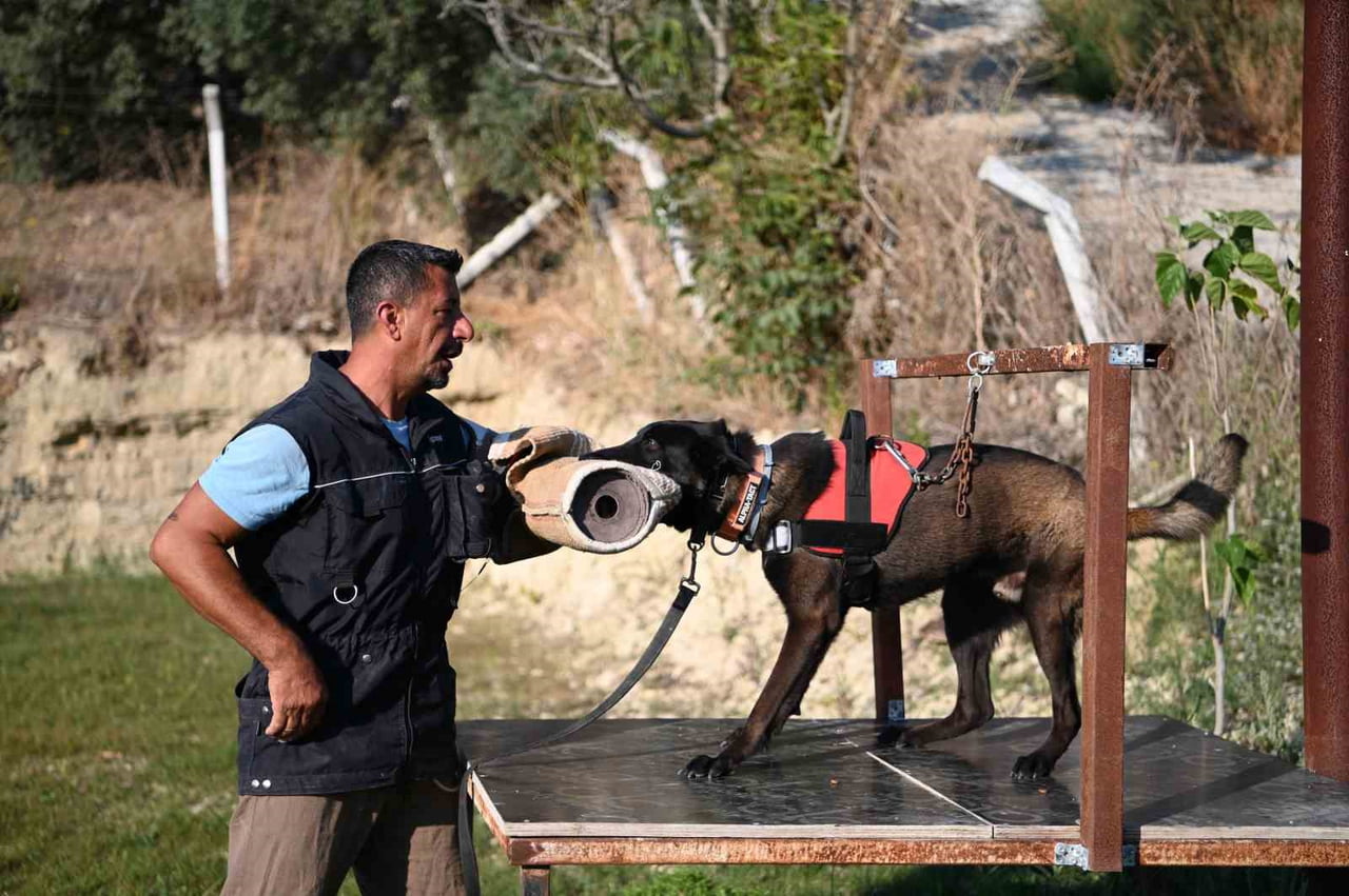 TEVFİK GÜL (45)