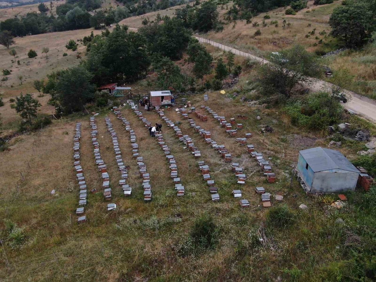 TOKAT'IN REŞADİYE İLÇESİNDE 56 YILLIK ARICILIK TECRÜBESİ AKILLI KOVAN SİSTEMİYLE BULUŞTU. VERİYE...