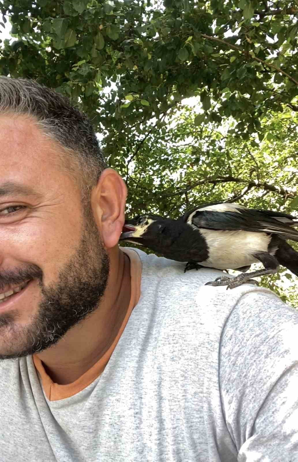 TOKAT’IN TURHAL İLÇESİNDE ÇİFTÇİ UĞUR KARAHAN’IN "PERİŞAN" ADINI VERDİĞİ SAKSAĞAN, PEŞİNDEN BİR AN...