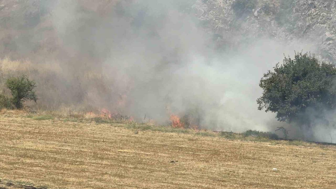TOKAT’TA OTLUK ALANDA ÇIKAN YANGIN, İTFAİYE VE ORMAN İŞLETME MÜDÜRLÜĞÜ EKİPLERİNİN MÜDAHALESİYLE...