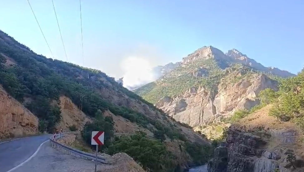 TUNCELİ'DE MUNZUR VADİSİ MİLLİ PARKI SINIRLARI İÇERİSİNDE ÇIKAN ÖRTÜ ALTI YANGININA ÇOK SAYIDA...