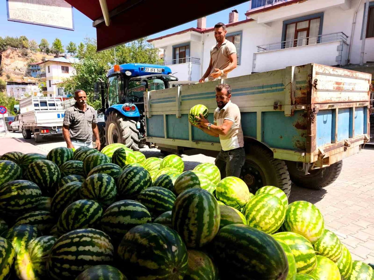 TUNCELİ'NİN ÇEMİŞGEZEK İLÇESİNDE DOĞAL YÖNTEMLERLE YETİŞTİRİLEN VE YÖREDE "HIDIROZ KARPUZU" OLARAK...