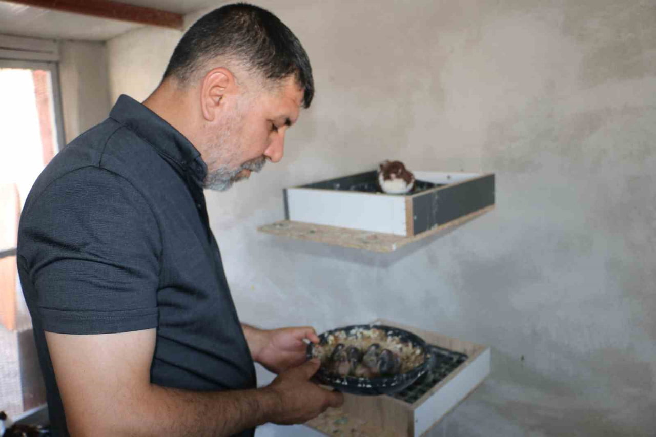 TÜRKİYE’DE İLK OLMA ÖZELLİĞİ TAŞIYAN GÜVERCİN OTELİ, 12 OCAK 2026 PAZARTESİ GÜNÜ ÇATI KATINDA...
