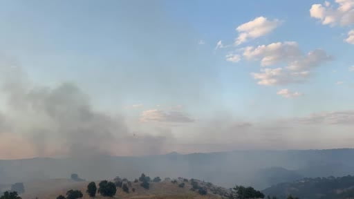 Uşak’ta meşelik ve makilik alanda yangın