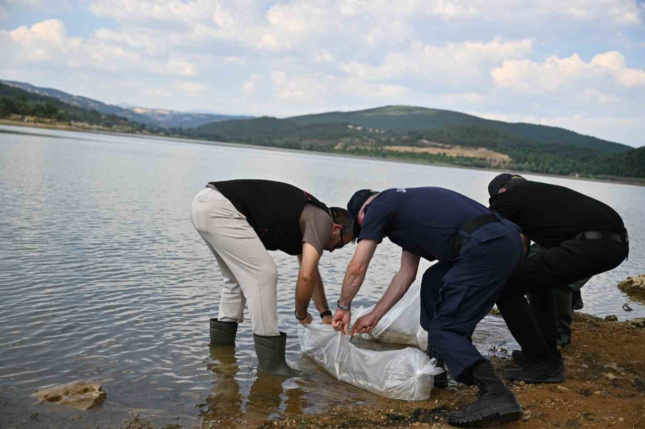 UŞAK’TA SU ÜRÜNLERİ KAYNAKLARININ KORUNMASI, BALIK POPÜLASYONUNUN DESTEKLENMESİ VE...