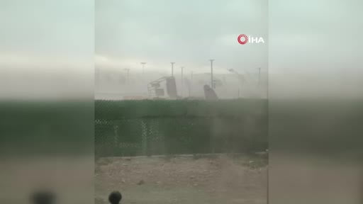 Van’da şiddetli rüzgar ağaçları ve kamelyaları devirdi