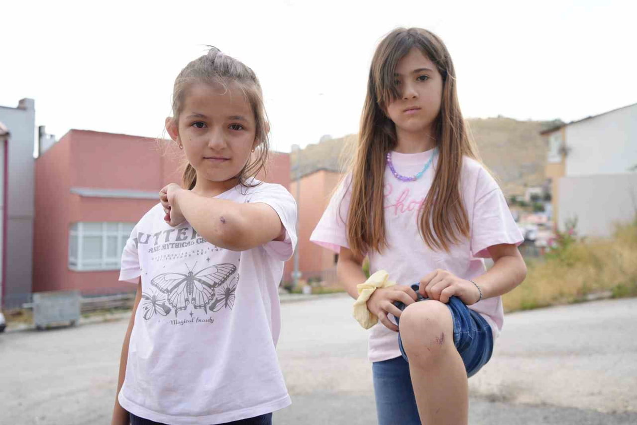 YAZ TATİLİNİ GEÇİRMEK ÜZERE AİLELERİYLE BİRLİKTE MEMLEKETLERİ BAYBURT'A GELEN İKİ KUZEN...