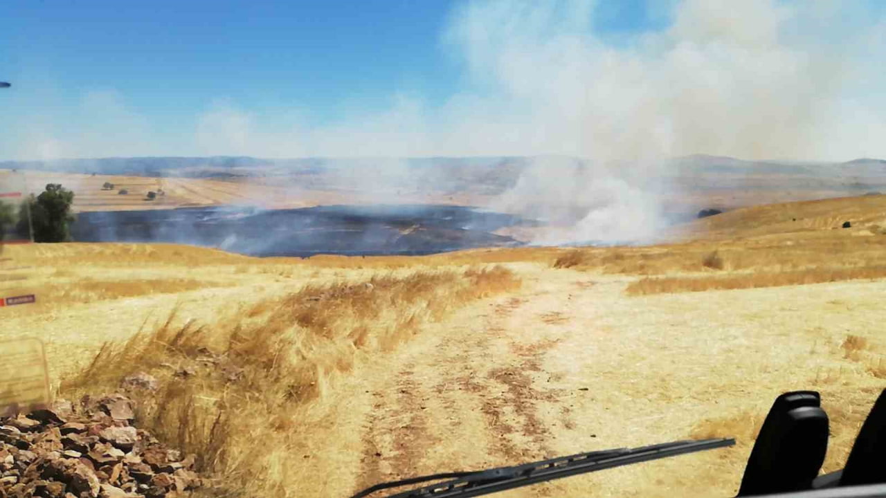 YOZGAT’IN SARAYKENT İLÇESİNDE ANIZ YANGINI ÇIKTI.