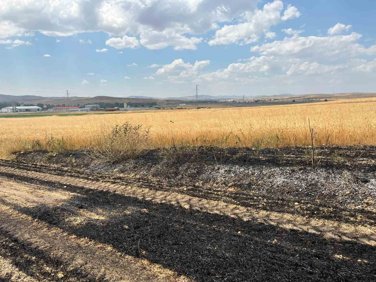 YOZGAT’IN SORGUN İLÇESİNDE ÇIKAN YANGINDA EKİLİ ARAZİ KÜLE DÖNDÜ.