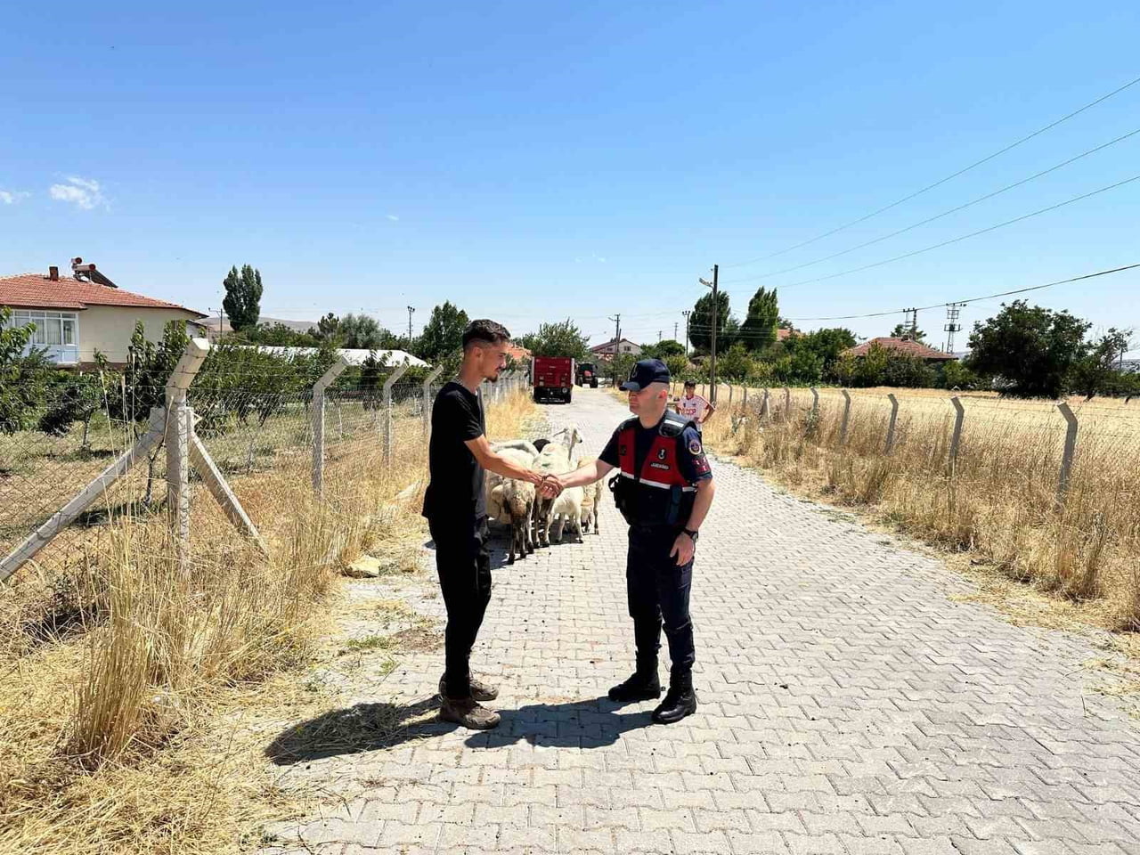 YOZGAT’TA KÜÇÜKBAŞ HAYVANLARI KAYBOLAN ÇİFTÇİYE JANDARMA YARDIM ETTİ. -