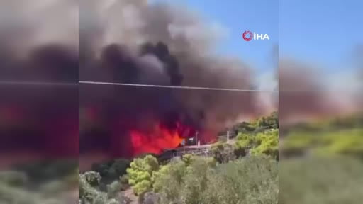 Yunanistan’ın başkenti Atina yakınlarındaki Salamina Adası’nda çıkan orman yangınında yaşlı bir...