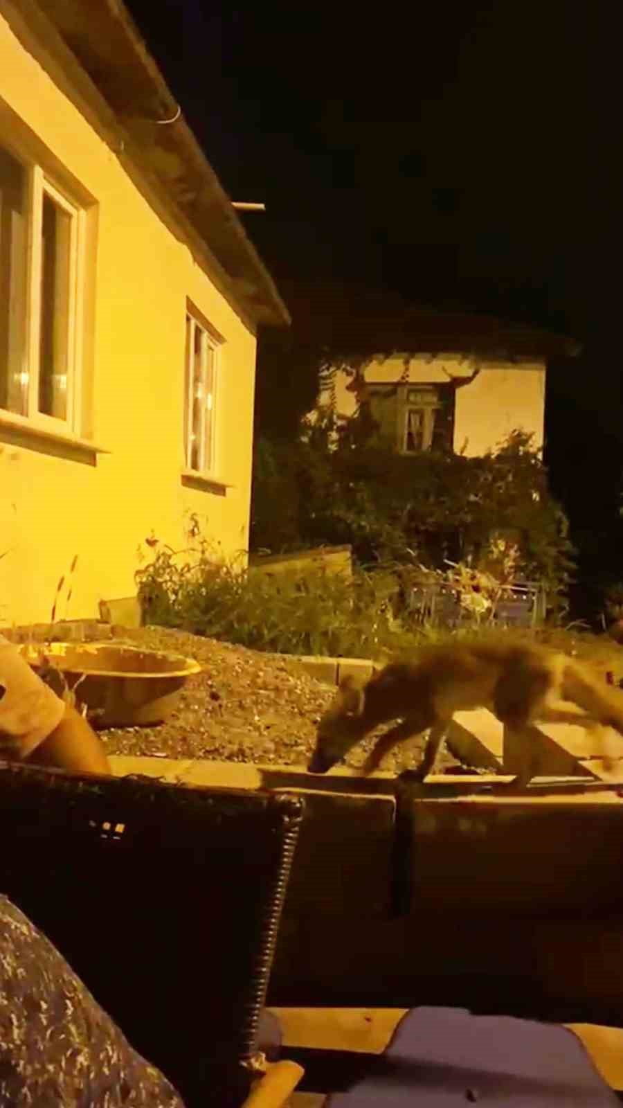 ZONGULDAK'IN EREĞLİ İLÇESİ RUŞANLAR KÖYÜNDE YAŞAYAN ALPARSLAN ARSLAN'IN EVİNİN ÖNÜNE GELEN...