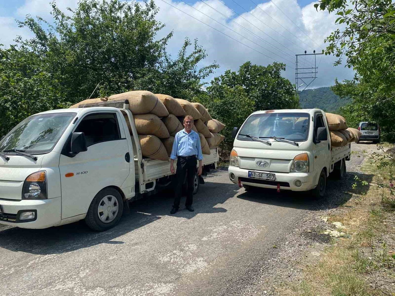 ZONGULDAK (İHA) - ALAPLI’DA FINDIK SEZONU YAKLAŞIRKEN ÜRETİCİLERE ÖNEMLİ UYARILAR GELDİ. FINDIK...