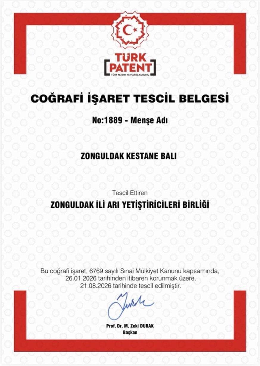 ZONGULDAK KESTANE BALI COĞRAFİ İŞARET TESCİLİ ALDI