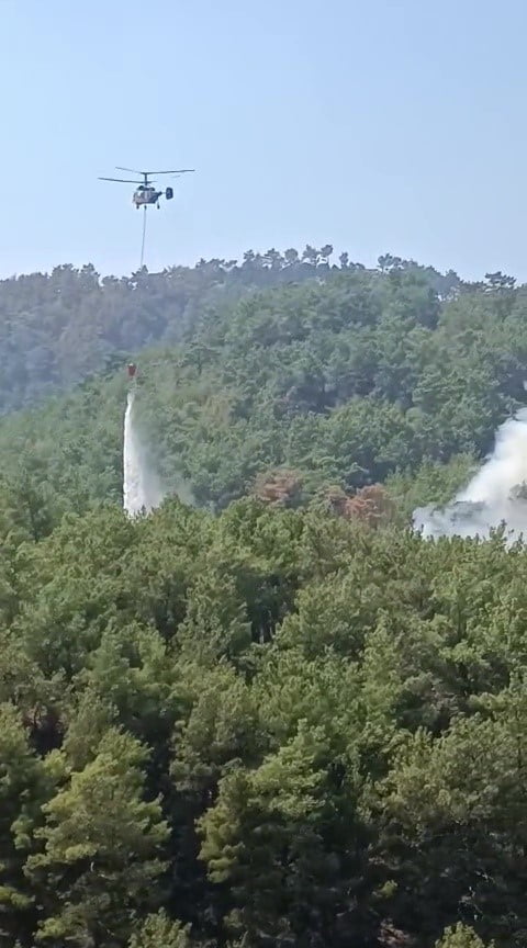 ADANA'NIN KOZAN İLÇESİNDE KONTROL ALTINA ALINIP SOĞUTMA ÇALIŞMALARININ SÜRDÜĞÜ ORMANLIK ALANDA...