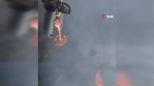 Adana’da orman yangını
