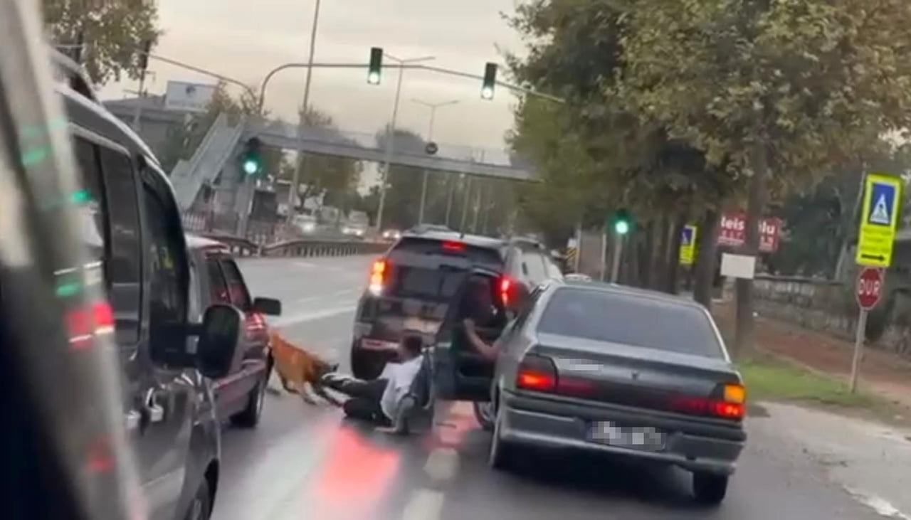 ADAPAZARI İLÇESİNDE ZİNCİRİ KOPUK KÖPEK, YOLDA YÜRÜYEN VATANDAŞA SALDIRDI