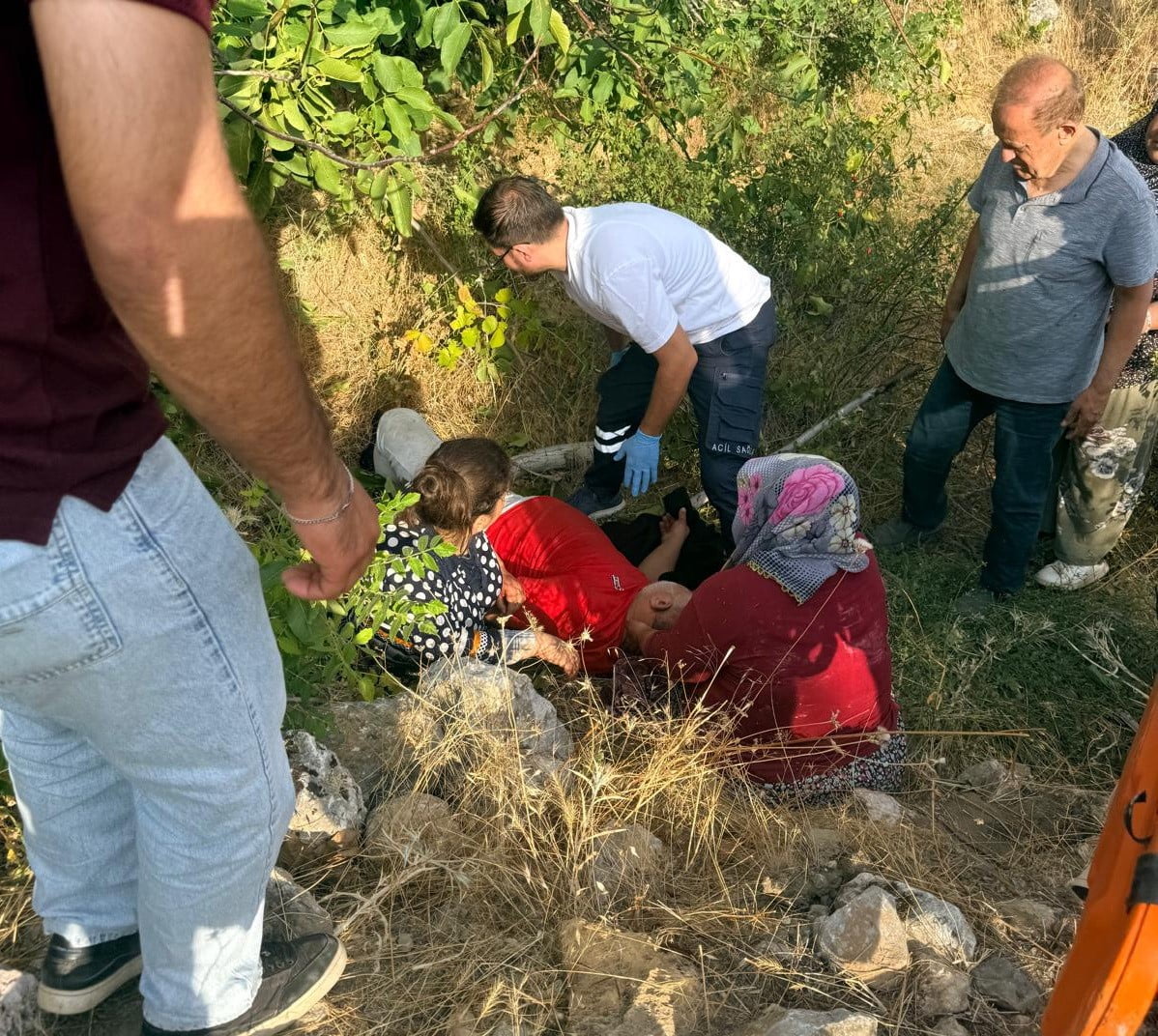 ADIYAMAN'IN GÖLBAŞI İLÇESİNDE CEVİZ AĞACINDAN DÜŞEN KİŞİ YARALANDI.