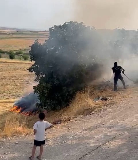ADIYAMAN’DA BAHÇEDE ÇIKAN YANGIN AĞAÇLARA ZARAR VERDİ.