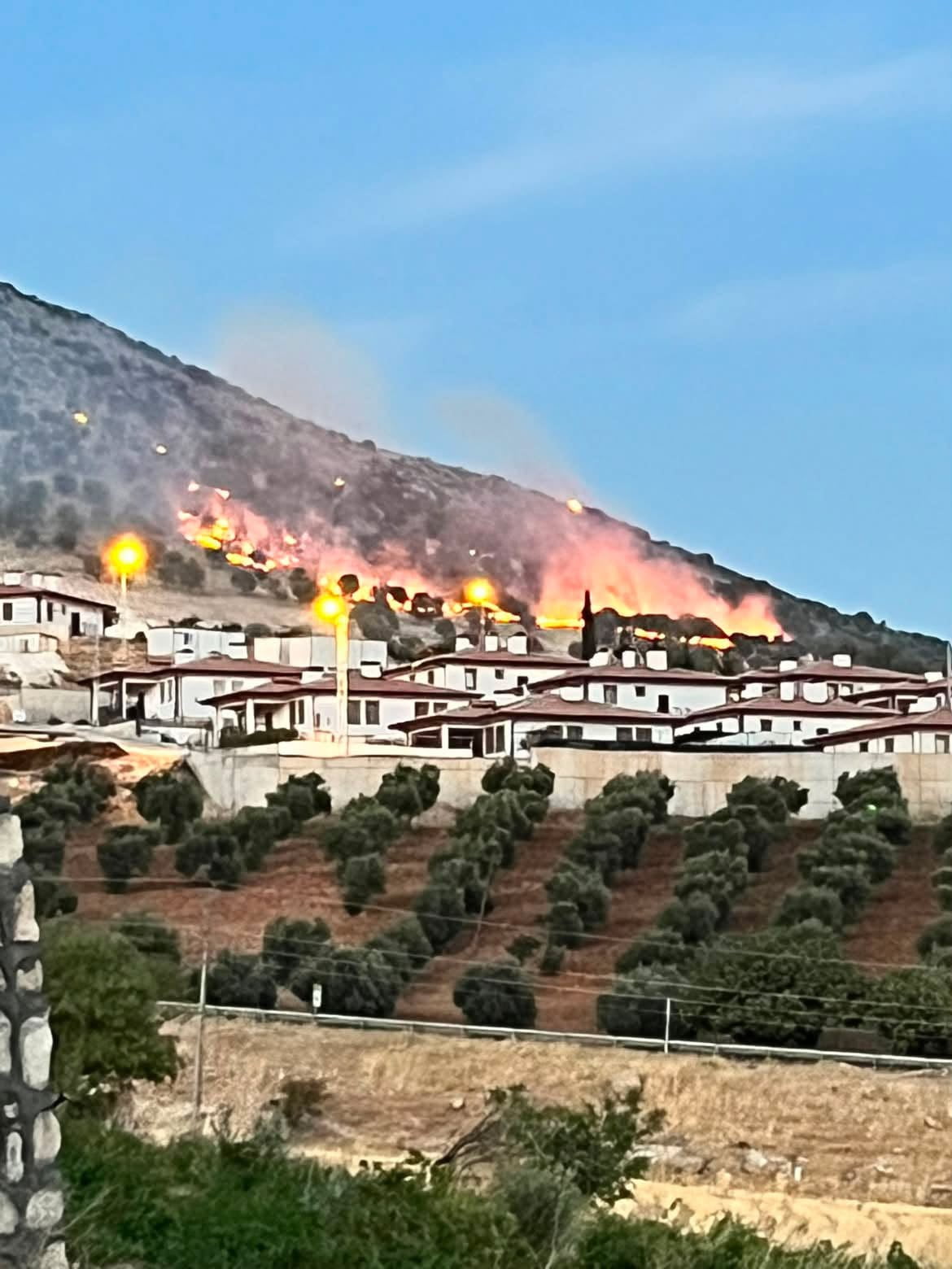 ADIYAMAN’DA ORMANLIK ALANDA ÇIKAN YANGIN KORKUTTU.