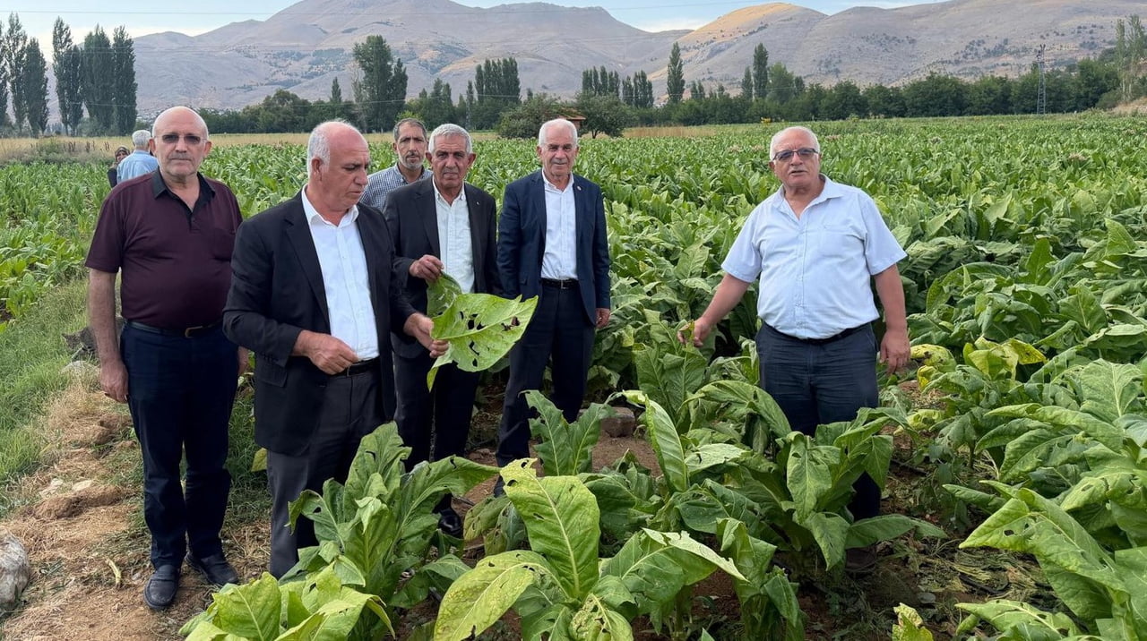 ADIYAMAN ZİRAAT ODASI BAŞKANI YAŞAR ÖZKAN, ÇELİKHAN’DA YAŞANILAN DOLU FELAKETİNDE TÜTÜN...