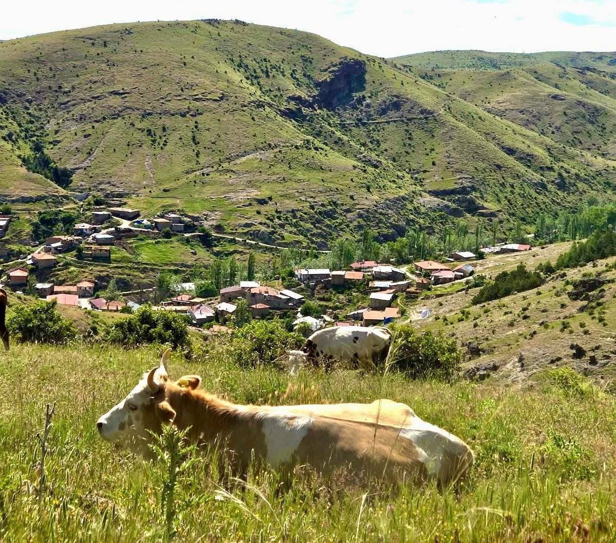 AFYONKARAHİSAR'DA ‘KIRSAL DEZAVANTAJLI ALANLAR KALKINMA PROJESİ’ ÇERÇEVESİNDE ÜRETİCİLERE YÖNELİK...