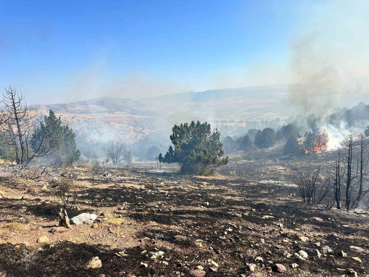 AFYONKARAHİSAR'IN DİNAR İLÇESİNDE ÇIKAN ORMAN YANGINI EKİPLERİN YOĞUN MÜDAHALESİ SONRASI...