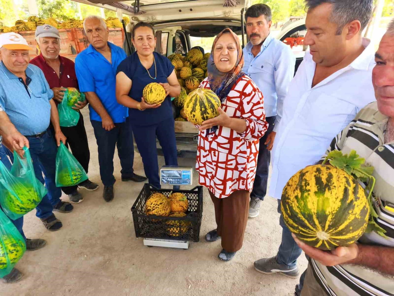 AFYONKARAHİSAR’IN EVCİLER İLÇESİNE BAĞLI ALTINOVA KÖYÜNDE, TEK DAMLA SU VERİLMEDEN YETİŞTİRİLEN VE...