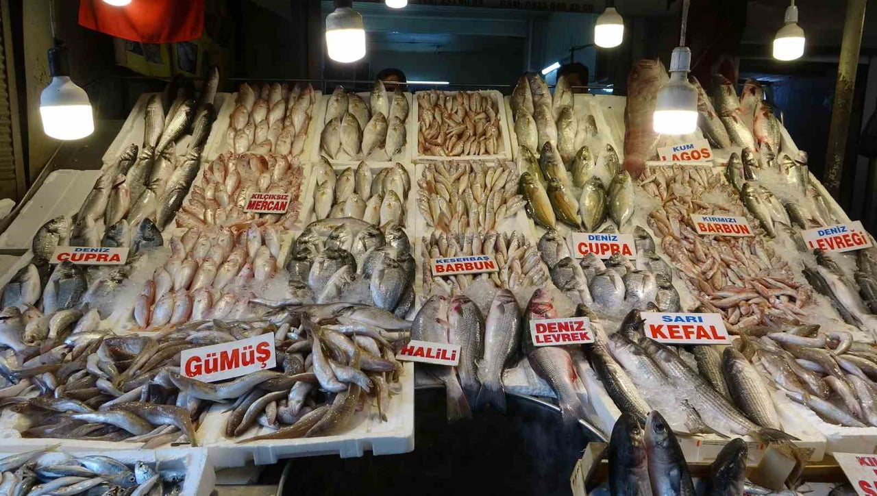 AKDENİZ'DE AV YASAĞININ SONA ERMESİNİN ARDINDAN MERSİN'DE BALIKÇILARIN AĞLARINA TAKILAN ÇEŞİTLİ...