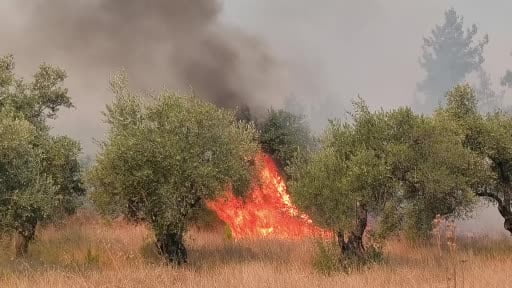Aksu'daki orman yangında söndürme çalışmaları hız kesmeden devam ediyor