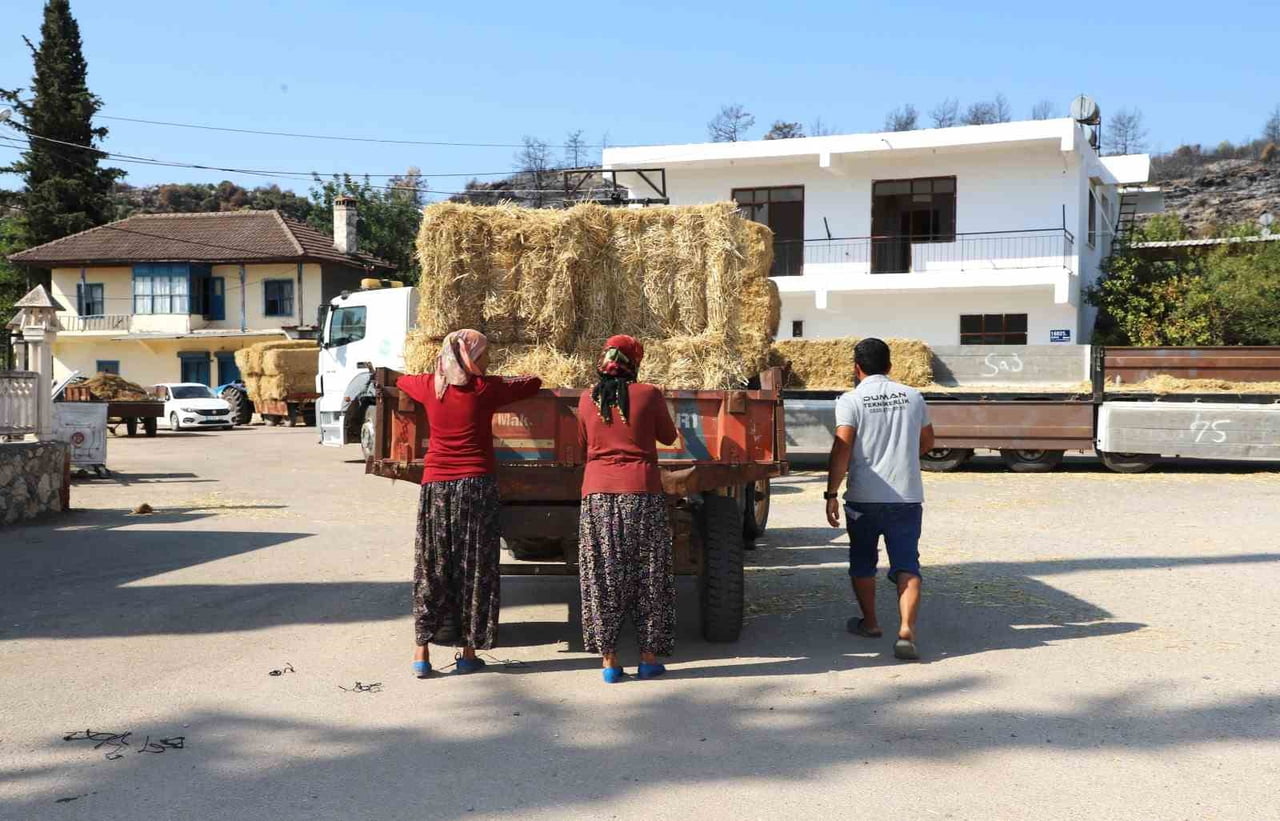AKSU BELEDİYESİ, YANGINDAN ETKİLENEN VE HAYVANCILIKLA UĞRAŞAN VATANDAŞLARA YÖNELİK SAMAN...