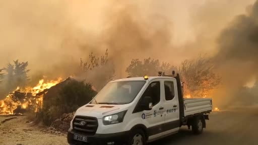 Alevlerle mücadelede seferber oldular, koyunları alevlerin ortasından böyle kurtardılar
