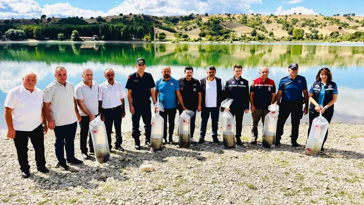 AMASYA’NIN TAŞOVA İLÇESİNDEKİ ULUKÖY BARAJINA 75 BİN SAZAN YAVRUSU BIRAKILDI.